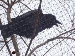 Tiergarten Schönbrunn am 12.03.2025